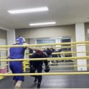 천안 두정 복싱 이미지