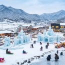 그린팜영농조합법인앞도로 | 청양 알프스마을 이슈 원인 총정리