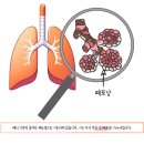 삼송동물병원 이미지