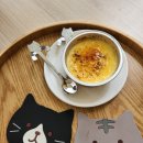 블랑도도 이미지