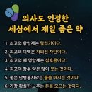 주치과 네이버블로그