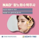 연세가정의학과의원 | 서초동나드주사 NAD+주사 세포를 다시 움직이게! 365일야간진료 연세휴가정의학과의원