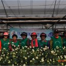 현진농장 이미지