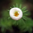 아라민박 이미지