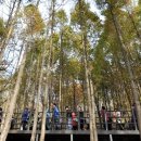 수안산약수터 이미지