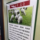해랑강양다리양꼬치