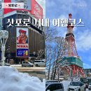 삿포로 니카상 TV타워 오도리공원 동구리 스스키노 완벽 코스