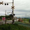 종환농장 이미지