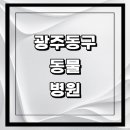 현동물병원 | 광주 동구 근처 동물병원 추천 정보 | 24시간 잘하는곳 고양이 강아지 중성화 수술 애견 가격 비용...