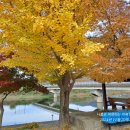 죽담경로당 이미지