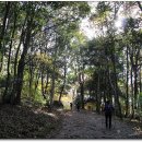 달마약수터 이미지