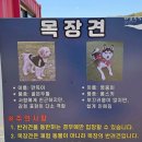 두들휴게실 | 대관령 하늘목장 5월 아이와가볼만한곳 트랙터마차 추천