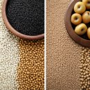 역사 속 음식이야기 | 역사 속 음식 이야기: 그 시대 사람들은 무엇을 먹었을까?