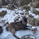 산양2리 이미지