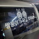 [쌍둥이 임신일기]30W~32W