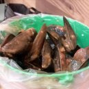 뽕스(뽕S) 이미지