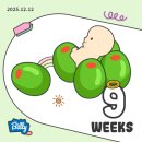 모란상아치과의원 | 기록, 배아이식 후 착상, 그리고 주차별 기록, 창원아가나여성의원 졸업, 임신확인서 발급 후 할 일