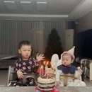 드림트립 | 스토케 트립트랩 후기, 남매 2개 5년 사용기 (헤이지그레이·내추럴)