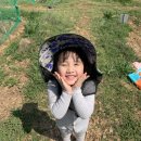 단원농장 이미지