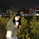 가내수공업돈카츠공방 네이버블로그