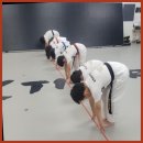 KTIGERS 동탄역관 태권도장 | 동탄태권도 동탄의 진정한 태권도 학습의 중심, K타이거즈동탄역관!