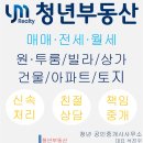 용이 스타시티 이미지