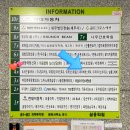 페이버에스테틱