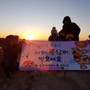 김만규태권스쿨 이미지