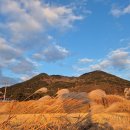 농부의 아들 이미지