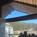 날마다좋은날 | 세종 돈까스, 커피까지 해결 연동면 날마다좋은날 데이트코스추천