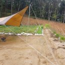 국보농장 이미지