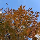 그림책으로 배우고 연습하는 비폭력 대화 이미지