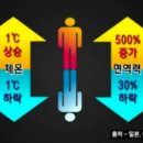 다온의료기 이미지