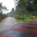 느린꼬부랑길 이미지