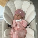 복양 | 에시앙 씨쉘 하이체어 바운서 뉴본 3개월 사용 후기. 장단점 정리. [내돈내산]