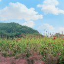 가산수피아 이미지