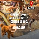 라움펜션 - 안산시 단원구 새방죽길 28 | 춘장대 바다 앞 캠핑장 추천 라움스테이 해루질 후기