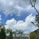 평양메밀냉면 이미지