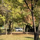 하늘공원(하부) 이미지