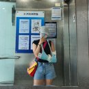 판교정형외과의원 | 판교 정형외과의원 솔직후기, 팔꿈치 염좌타박상 반깁스 중