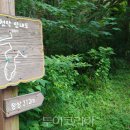 더좋은제주