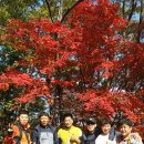 두정극동늘푸른아파트 이미지