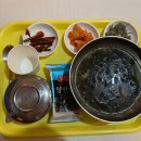 카멜리아 이미지