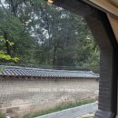 제이에버 | 제이버튼 웨딩밴드 비교 후기💍｜에버레이어, 일리아스 상담 후 결국 제이버튼에서 선택한 이유