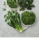 바로기획 이미지