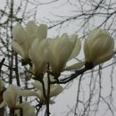 승학체육공원 이미지