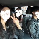 빛나옹 이미지
