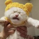 N세대인터넷PC방 | [이사준비#2] 아낌e보금자리론 진행 후기(1)(신청~상담~감정평가~결재~확약통지~은행상담)