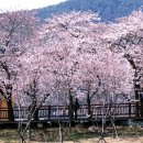 보림태권도 이미지