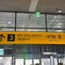 노보텔 | 서울 용산 노보텔 스위트 호텔 호캉스 후기